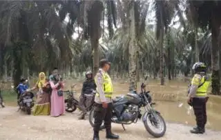 Bikin Lega, Harga TBS Sawit di Jambi Naik