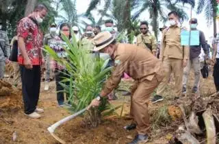 Banyak Dana di BPDPKS Belum Terserap, Pemda di Kalbar Diminta Sigap