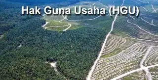 DR Sadino: Mestinya HGU Tak Aktif Dicabut dan Berikan ke Masyarakat
