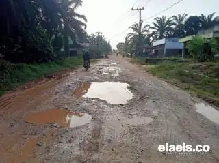 Petani Sawit di Daerah Ini Berkontribusi Rawat Jalan Pemda