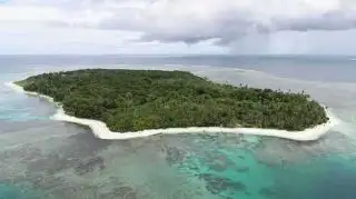 Masyarakat Diminta Setop Penanaman Sawit di Pulau Enggano