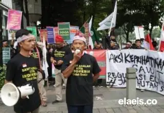 Petani Ancam Boikot Produk Eropa Jika EUDR Tidak Dibatalkan