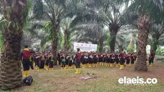 Sampai 3 Juni, Sudah 1.530 Pendaftar Dinyatakan Lulus Administrasi Program Beasiswa Pengembangan SDM Sawit