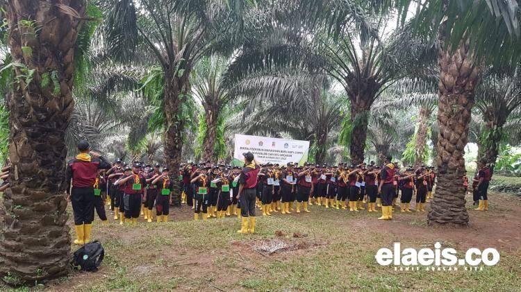 Ingat, Hari Ini Batas Waktu Finalisasi Data Calon Penerima Beasiswa BPDPKS
