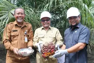 Sekda Siak Salut Kebun Program PSR Bisa Panen 30 Bulan