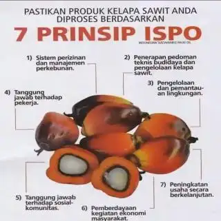 Petani Sawit Diminta Segera Miliki STDB, ini Gunanya