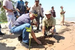 Bersama Kemenko Marves, GAPKI Lanjutkan Program Penanaman Mangrove di Kumai