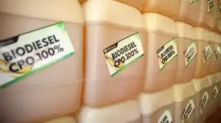 Bengkulu Berharap Punya Pabrik Biodiesel Agar Tak Tergantung Ekspor CPO