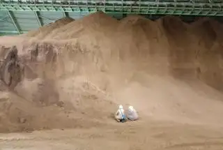PKS di Bengkulu Diminta Garap Bisnis Pakan Ternak