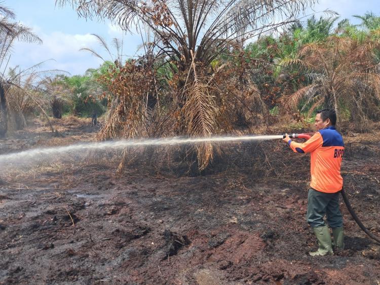 Karhutla di Inhu Berhasil Ditangani, Ini Metode dan Peralatan yang Digunakan