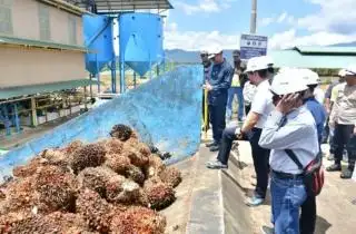 Pabrik CPO Pertama di Pohuwato Resmi Beroperasi