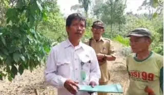 Harimau Pincang Teror Petani Sawit Bengkulu Selatan