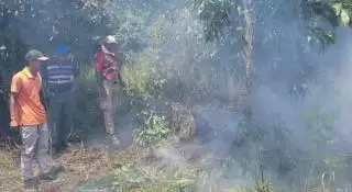 Kabut Asap Mulai Menyelimuti Kota Bengkulu