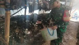 Babinsa ini Sukses Ajak Masyarakat Raup Cuan Manfaatkan Limbah Sawit
