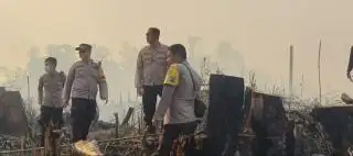 Polisi Temukan Bibit Sawit di Area Restorasi yang Terbakar
