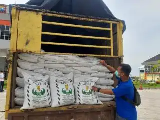 Kabar Bagus Buat Petani Sawit, Harga Pupuk Non Subsidi di Bengkulu Turun