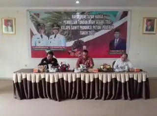Harga CPO Turun, tapi Harga TBS Sawit Kalteng Naik