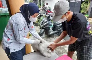 Pemilik Hewan Peliharaan Diminta Manfaatkan Vaksinasi Rabies