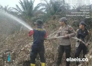 Pejuang Pemadam PT TPP Dikerahkan Padamkan Api Karhutla di Sungai Raya