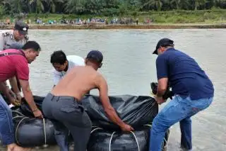 Pencuri Sawit PTPN II Ditemukan Tewas di Sungai
