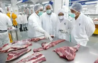 Belum Laku, Bulog Bengkulu Punya Stok 18 Ton Daging Beku