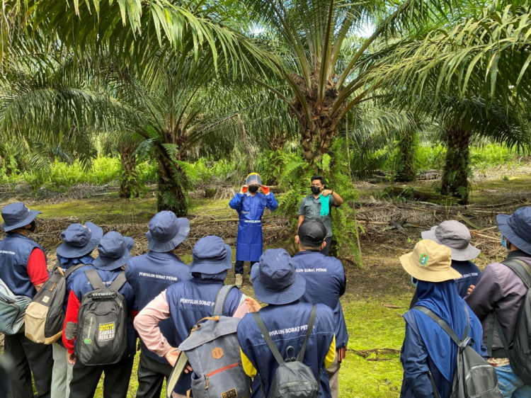 Dua Perusahaan Kelas Dunia Jalankan Program Smallholders Hub Pertama Di Kalimantan