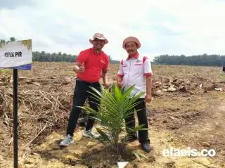 Hari Sawit Nasional, Aspek-PIR Berharap Gini