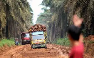 Ngeyel, Usulan Sarpras Petani Sawit Mukomuko Dikembalikan