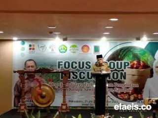 Di Riau Ada 5.600 Hektar Kebun Sawit yang Bisa Tumpang Sari