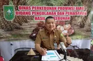 Harga Penjualan CPO dan Kernel di Riau Naik, Berikut Daftarnya