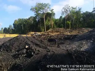 IKN akan Dibersihkan dari Tambang Batu Bara dan Perkebunan Sawit