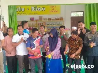 Dibimbing WEI dan Unilever, Emak-emak Petani Sawit Ini Bisa Punya Gerai Oleh-oleh