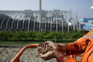 Program STAB dan PERTIWI Diluncurkan untuk Manfaatkan Limbah Sebagai Biomassa