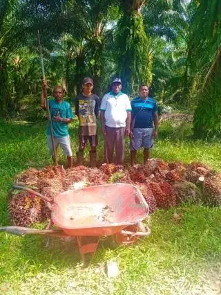 Lelang Jabatan di Kementan Bikin Petani Sawit Deg-degan