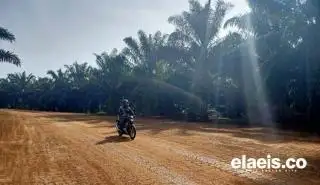 Program Sarpras Nyaris Tak Berjalan, Gonta-ganti Regulasi Biang Keroknya