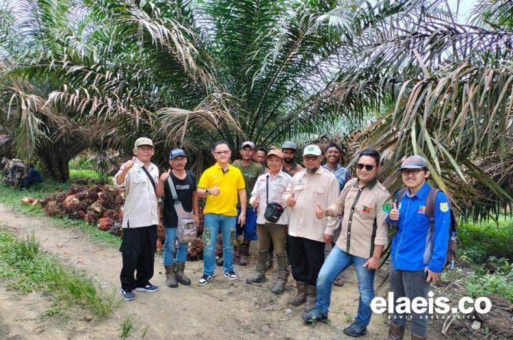 Tentang 'Iming-iming' Penyedia Benih, Analisa Tross dan Hasil Kebun