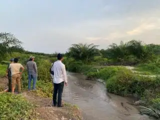 Cari Timah, 3 Penambang Obok-obok Kebun Sawit PT GSBL