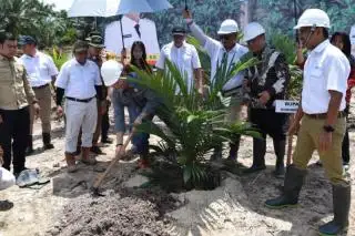 Usai Penyerahan SK, Kebun Plasma dari PT ATA Langsung Ditanam Perdana