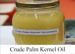 Ada Kejutan dari Tender Harga CPKO di PT KPBN Periode 21 Februari 2024