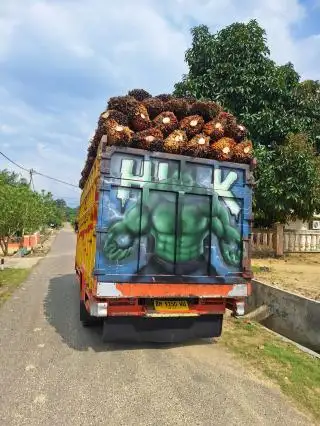 Di Rohil Ada Harga TBS Jokowi, Semua Berkat BRKS dan Progam PSR