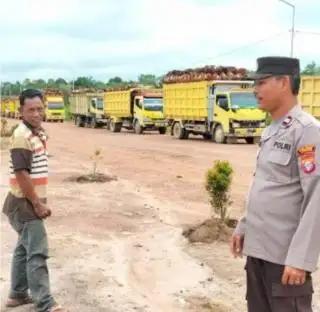 Lumayan, Harga TBS Kalteng Periode I Maret Naik Rp 83,16