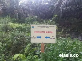 PTPN IV Jambi Dinilai Tak Konsisten Soal Ini