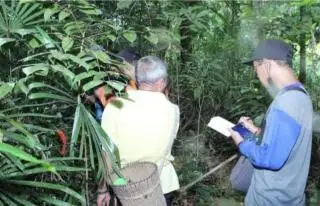 Selandia Baru Danai Perlindungan Hutan Adat di Kalbar