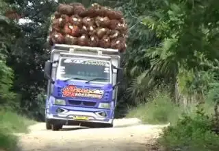 Pemilik Ramp Sawit di Bengkulu Pilih Jual TBS ke Sumatera Selatan, Kenapa!
