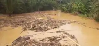 Perusahaan Sawit di Aceh Ini Jadi Sorotan dari Dalam dan Luar Negeri
