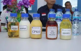 Segini Harga CPKO Hasil Tender PT KPBN Sepekan Terakhir