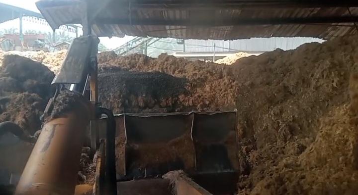 Berhari-hari WD, Kini Closing Harga Palm Kernel Hasil Tender Astra Periode 26 Juni 2024