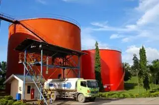Harga Referensi CPO Juli 2024 Menguat, ini Pemicunya