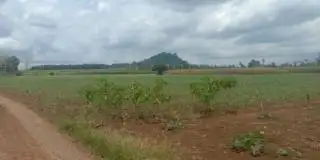 Kasus Gununng Balak Kapan Usai?