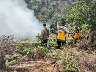 Gulat: Karhutla di Riau Bukan Karena Budidaya Sawit